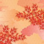 Illustration mit roten Ahornblättern vor beigem Hintergrund und rosa Wolkenmustern.