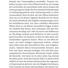 Text über Gesundheitstipps durch Pflanzenpflege und bewusste Aufmerksamkeit. Hinweis auf Lycopin und gute Propriozeption.