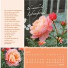 Kalenderseite für Juli mit Gedicht von Doro Zachmann über Lebensfreude und Rosen. Eine rosa Rose ist abgebildet.