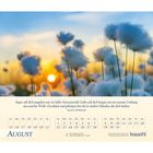 "Segen soll dich umgeben wie ein heller Sonnenstrahl... Susanne Schukowksi. August-Kalenderblatt. Baumwollartige Pflanzen im Sonnenuntergang."