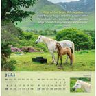 Oben steht ein irischer Segenswunsch. Unten ist ein Kalender für Juli. Zwei Pferde stehen auf grüner Wiese in Bergen.