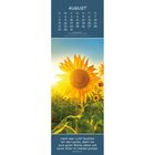 Augustkalender. Zitat: "Lasst euer Licht leuchten..." Matthäus 5,16. Strahlende Sonnenblume bei Sonnenuntergang.