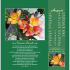 Augustkalender mit Gedicht über Freesien von Elli Michler; Bild von gelb-rosa Freesien; Feiertage im August aufgelistet.