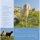 Text: "Ich sehe nur den nächsten Schritt... Oskar Loy." "Gott kennt den Weg." Juli-Kalender. Zwei Schafe auf Wiese.