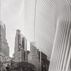 Kalender: Juli. Tage des Monats in einer Tabelle. Architektur: Weiße, geschwungene Streben in urbaner Umgebung.