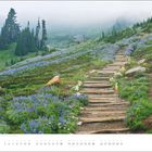 Text: "Juli". Ein Holzpfad schlängelt sich durch eine lila Blumenwiese, umgeben von grünen Hügeln und hohen Bäumen.