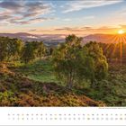 Kalenderblatt für Juli mit Datumsanzeige. Sonnenaufgang über hügeliger Landschaft mit Birken und sanftem Nebel.