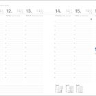 Kalenderseite für Januar mit den Daten 11. bis 17. Jede Spalte weist Tage und Zeiten mit Linien für Notizen auf. Unten Mini-Kalender.