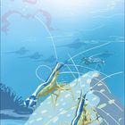 Illustration von drei bunten Garnelen auf einem Felsen im blauen Wasser. Unten steht "07" mit einer Zahlenreihe darunter.