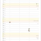 Monatsübersicht für Juli. Illustration eines Jungen und Fuchs. Bienen verteilt auf Kalendertage.