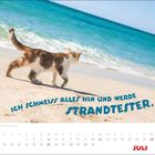 „Ich schmeiß alles hin und werde Strandtester.“ Kalenderblatt für Juli, Katze am Strand mit Meer im Hintergrund.