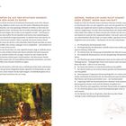 Überschriften: 

1. Warten Sie auf den richtigen Moment, um den Hund zu rufen
2. Gründe, warum ein Hund nicht kommt oder zögert, wenn man ihn ruft

Darunter ist ein Foto von einem Hund, der durch Laub läuft.