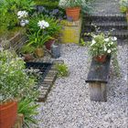 Kalenderblatt: Juli 2021. Foto eines idyllischen Gartens mit Blumen, bepflanzten Töpfen, einer Bank und einem Haus im Hintergrund.