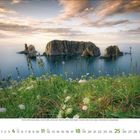 Eine Kalenderseite für Juli 2023, zeigt eine Küstenlandschaft mit Felsen im Meer, umrahmt von Gras und Blumen im Vordergrund.