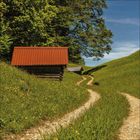Eine Landschaft mit einem schmalen, kurvigen Pfad, grünem Gras, blühenden Blumen, zwei Holzhütten und Bäumen.