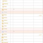 Kalenderseite für Juli 2027. Bunte Illustration mit organischen Mustern und Blättern am Rand.