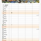 "Glaubst du, Mami kann jetzt staubsaugen?" "Kommt drauf an, wie geschickt sie sich anstellt!" Zeichnung: Zwei Frösche im Etagenbett. Unten Monatskalender Juli 2027.