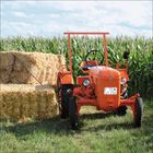 Kfz-Kennzeichen: TS LY 914. Ein alter, oranger Traktor steht vor einer großen Ladung Strohballen vor einem Maisfeld.