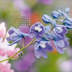 Juni-Kalender mit blauen Blüten im Vordergrund, unscharfer Hintergrund in sanften Farben. Kalenderdaten oben links.