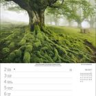 August 2027 Kalenderseite, zeigt einen moosbedeckten Baum im Buchenwald des Gorbea-Naturparks, Spanien.