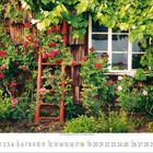 Kalender für Juli; eine Wand mit Rosen und Efeu vor einem Fenster; rote Leiter an der Wand.