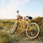 Kein Text vorhanden. Ein gelbes Fahrrad steht an einem Pfosten in einer Dünenlandschaft mit Blick auf das Meer im Hintergrund.