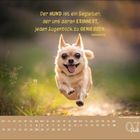 Zitat: "Der HUND ist ein Begleiter, der uns daran ERINNERT, jeden Augenblick zu GENIESSEN." Kalender für Juli. Ein kleiner, fröhlicher Hund läuft.