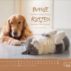 Text: "Hunde haben Herrchen, Katzen haben Personal. - Kurt Tucholsky." Hund und Katze liegen auf einem Boden. Juli-Kalender.