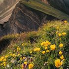 Kalenderblatt mit gelben Blumen auf einer Wiese, dahinter dramatische Berge bei Sonnenuntergang. Unten Monatsübersicht.