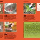 Eine Anleitung zur Anzucht von Himbeeren, mit Schritten von Fruchtzerdrücken bis zum Einpflanzen. Enthält Tipps zum Gedeihen.