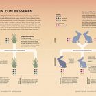 Hin zum Besseren: Texte über ungeschlechtliche und geschlechtliche Fortpflanzung, Gene und Mutationen. Grafiken zeigen Tiere und Pflanzen.