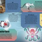 "Robotertiere: Design von Robotern inspiriert von Tieren. Spot: Hundähnlich. Eelume: Aalform. Festo Bionic Ant: Ameise. Octobot."