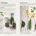 Texte: Trocknen; flach ausgebreitet trocknen; hängend trocknen. Abgebildet sind Gläser mit Kräutern und hängende Kräuterbündel.