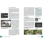 Texte: 
3.3 Fokuseinstellungen
Kapitel 3 Filmen: Technik, Ton und Formate

Ein Screenshot zeigt AF-Modus-Einstellungen, ein anderes Bild zeigt einen Vogel im Fokus.