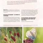 "Das magische Trio. Mitten im wilden Garten spielt sich eine kleine, doch höchst raffinierte Dreiecksbeziehung ab."