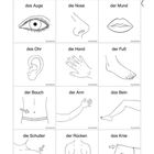 Kapitel 2. Bildkarten „Körperteile“. Illustrationen: Auge, Nase, Mund, Ohr, Hand, Fuß, Bauch, Arm, Bein, Schulter, Rücken, Knie.
