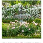 "07" in der Mitte; Wochentage und Zahlen unten. Ein Garten mit Brunnen und blühenden Rosen im Vordergrund.