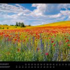 "07 MOHNFIELD IN DER UCKERMARK" Kalenderdaten darunter. Ein blühendes Mohnfeld mit roten und lila Blumen unter blauem Himmel.