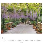 "Jardins de Alfabia | Bunyola, Mallorca, Spanien" Text und Kalenderblatt für Juli. Eine Terrasse mit blühender Glyzinie.