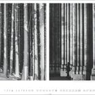 "Schneeimpression, Harz, Deutschland | Kaiser Dom, Köln, Deutschland | Fotos @ Torsten Andreas Hoffmann" 
Links verschneite Bäume, rechts Säulen mit Person.