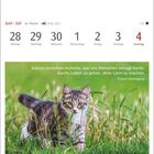 Kalenderdaten: 28. Juni bis 4. Juli. Zitat von Ernest Hemingway über Katzen. Kätzchen im Gras.