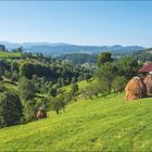 Die Weiten Rumäniens. Kalender zeigt Juni und Juli. Landschaft mit grünen Hügeln, Bäumen und Heuhaufen, Blick auf die Karpaten.
