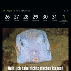 Juli | August Kalender mit Fischtitel: "Nein, ich habe nichts machen lassen!" Ein fischähnliches Wesen darunter.