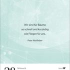 „Wir sind für Bäume so schnell und kurzlebig wie Fliegen für uns.“ Peter Wohlleben. 28. April, Mittwoch, Stier.
