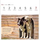 März, Woche 9, 18.2.–19.3. Glück ist das Einzige, das sich verdoppelt, wenn man es teilt. Zwei Hunde in einer Holzhütte.