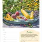 "Zucchini: Ursprung in Nord- und Mittelamerika. Nährstoffe: Spurenelemente, Kalzium, Eisen. Tipp: Gelbe Zucchini grillen."  
Ein Teller mit gelber Zucchini, Pfirsichen und Himbeeren auf Holztisch im Garten.