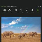 Datum 28. Juni bis 4. Juli. Afrikanische Elefanten, Ambroseli-Nationalpark, Kenia. Elefantenfamilie vor Regenbogen.
