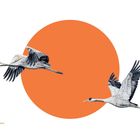 Text „Kranich“. Zwei fliegende Kraniche vor einer großen orangefarbenen Scheibe. Minimalistische Illustration.