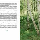 Text auf Seite 18: Eine poetische Beschreibung der Verbindung zwischen Mensch und Natur. Rechts ein Foto von Birken im Wald.