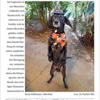 "FEIN GEMACHT: Treue hat viele Gesichter. Treat. Zum Foto: Vor Freude Männchen machen. Februar 2027, Montag 8." Ein Hund im Kostüm.